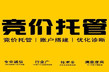 案例解析：如何利用竞价推广实现品牌曝光
